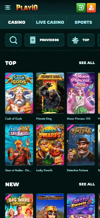 Playio Casino mobile browser games catalogue